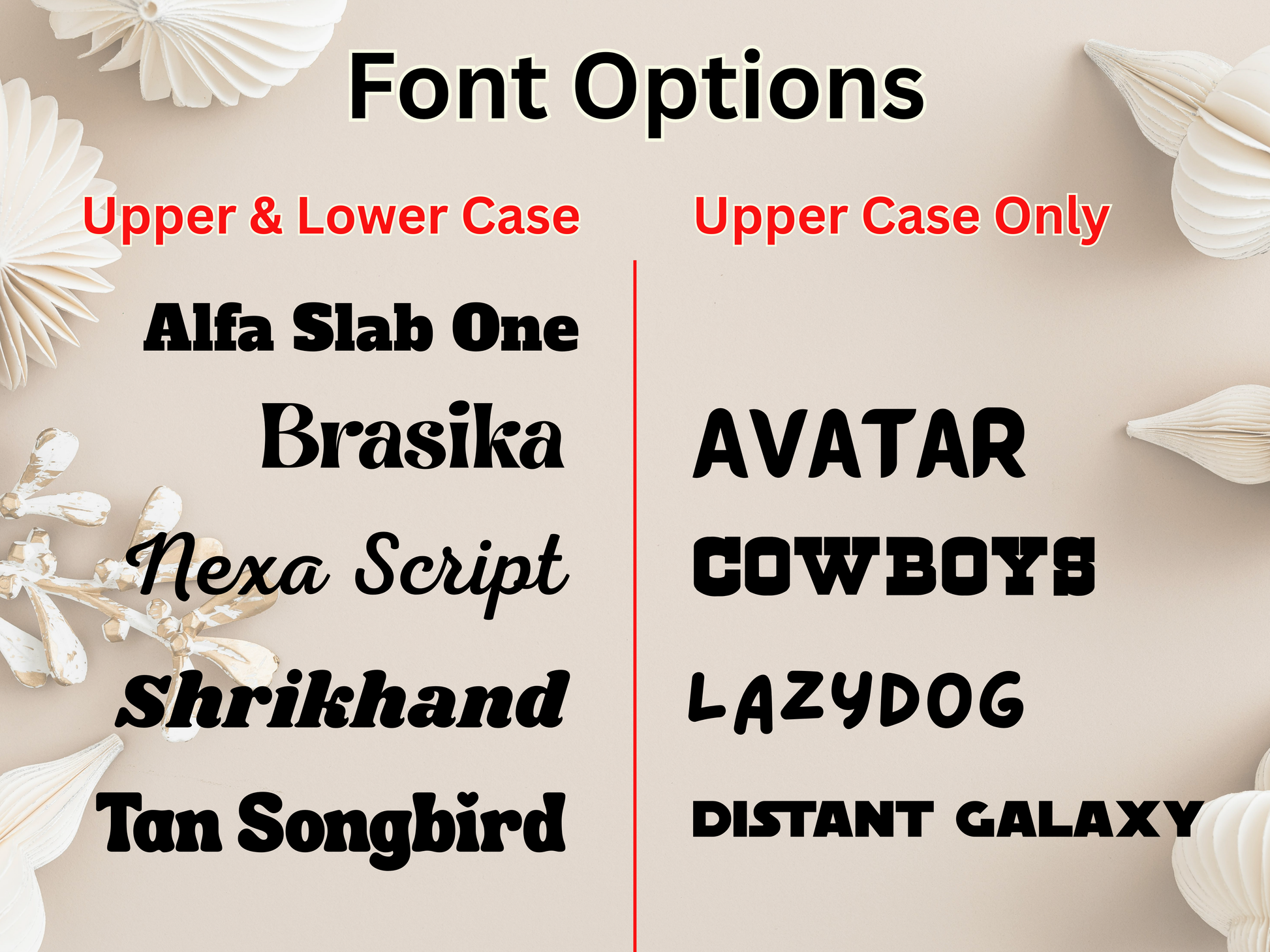 Comparison of different font styles on a decorative background with floral elements.